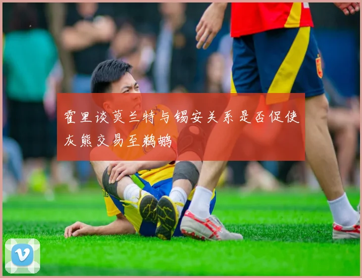 霍里谈莫兰特与锡安关系是否促使灰熊交易至鹈鹕
